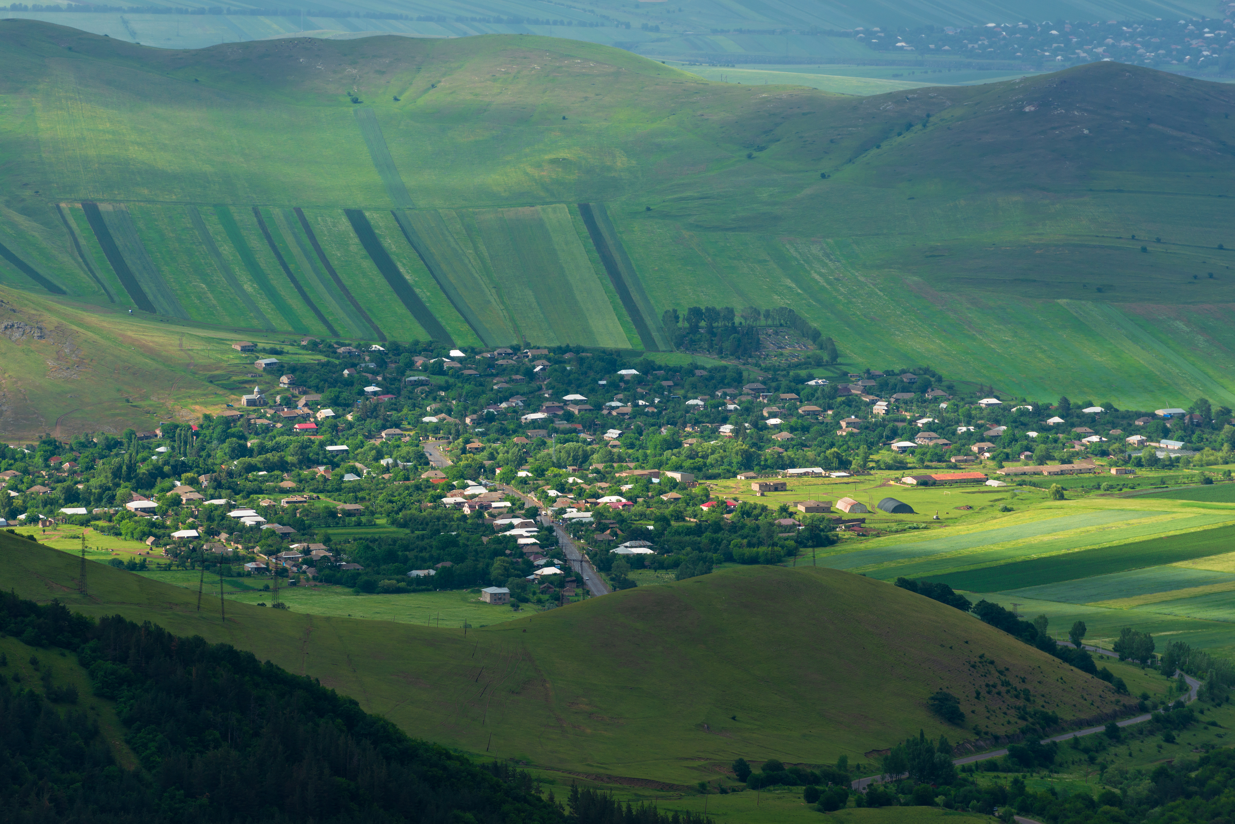Meşhed